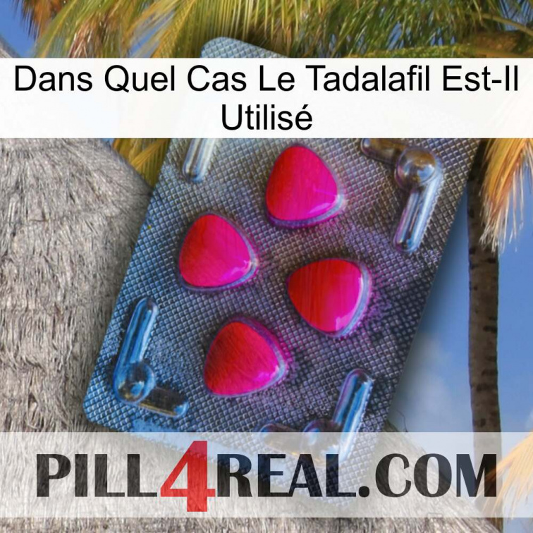 Dans Quel Cas Le Tadalafil Est-Il Utilisé 13